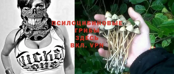 прущий лед Армянск